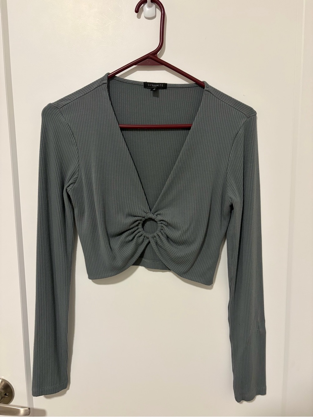 Dynamite Ribbed Tie-Ring Long Sleeve Crop Top — Sage Green